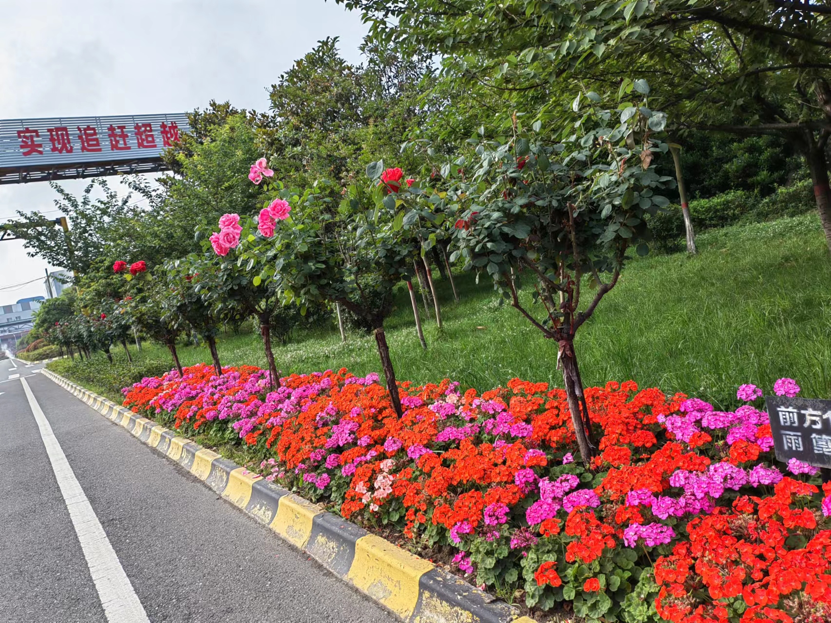 �t�� �S�� ����