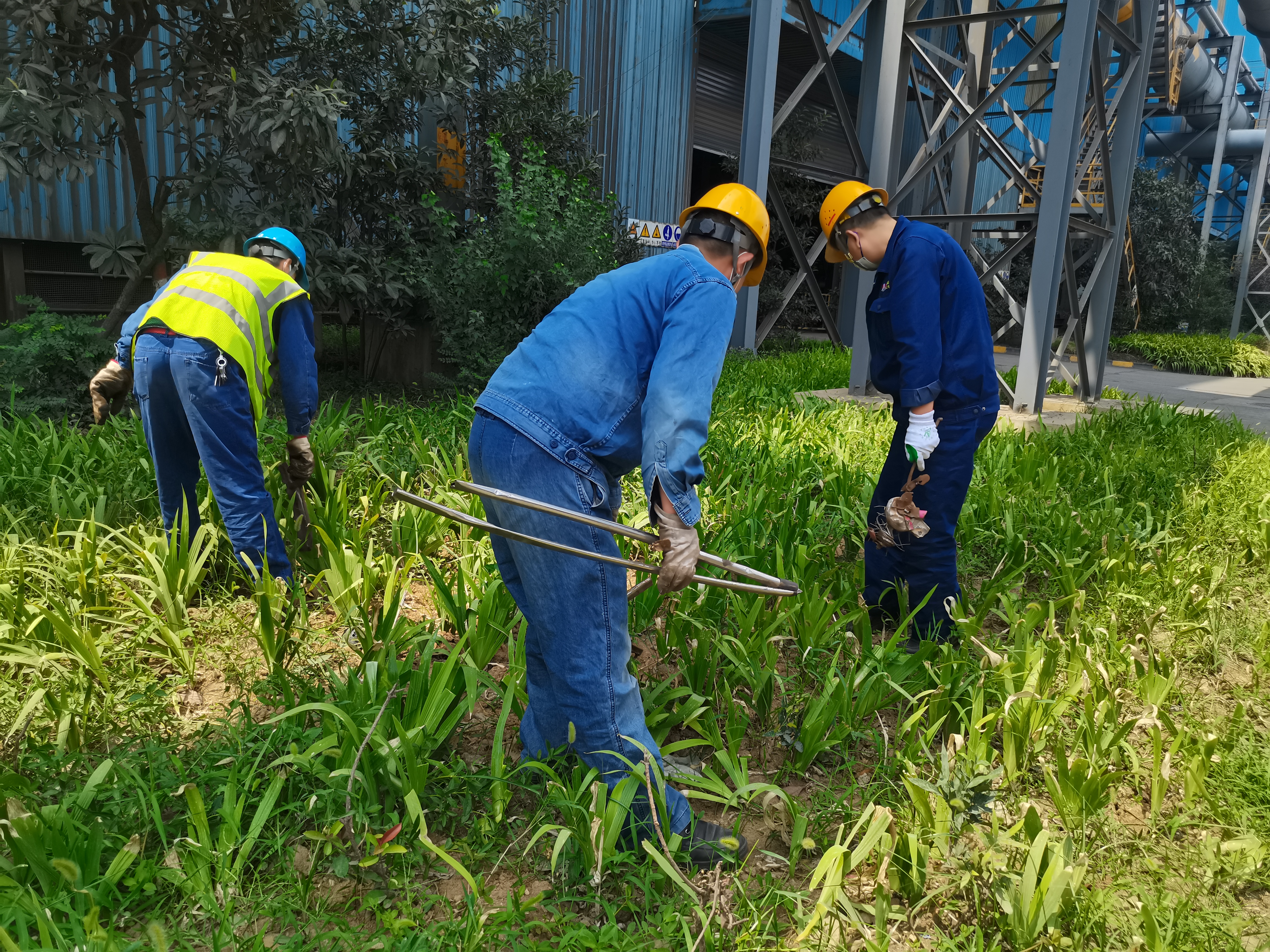 ���|��Ч�����@����M�ں�