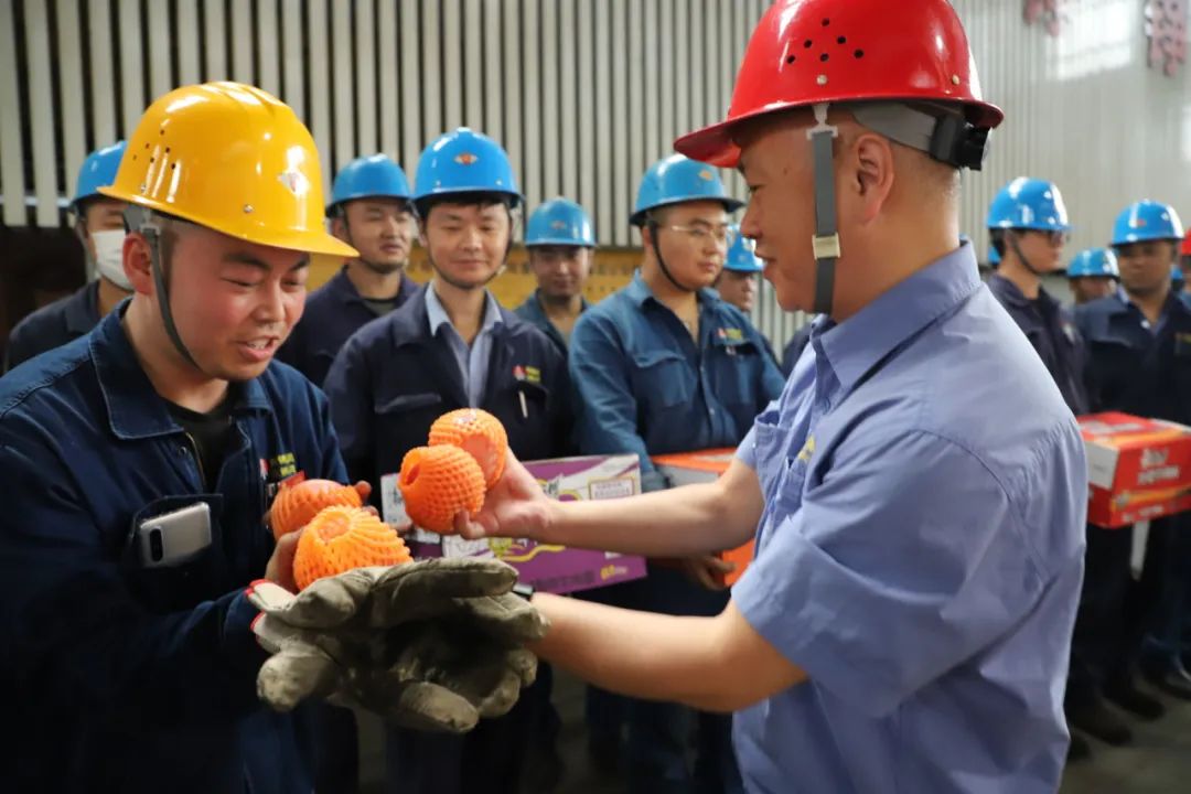 �xΡ����1#�ߠt�z�ެF��ο���ɲ���