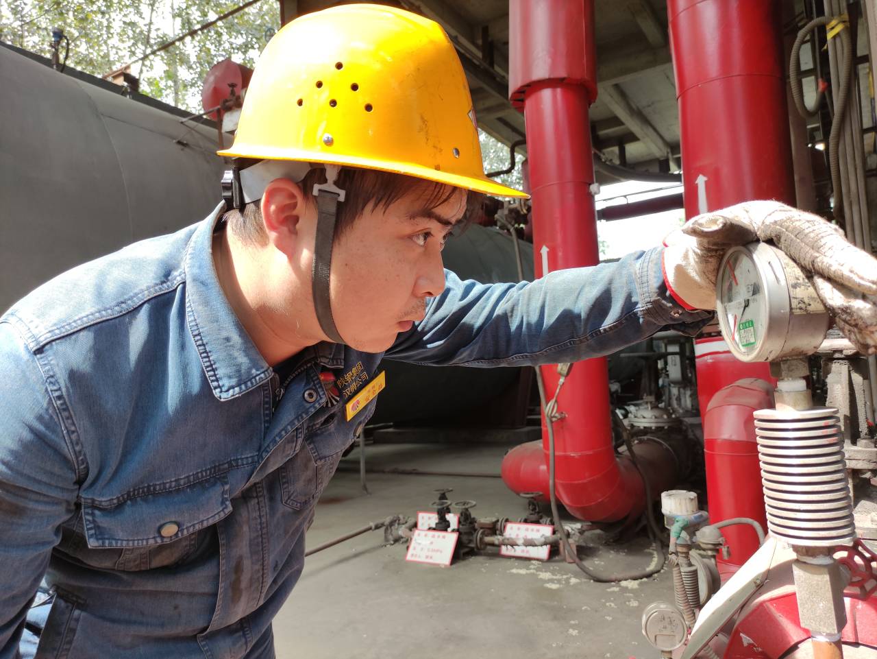 ������Ч���������С�һ�֡�