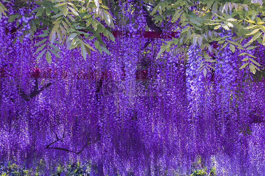 ӛ���е������}