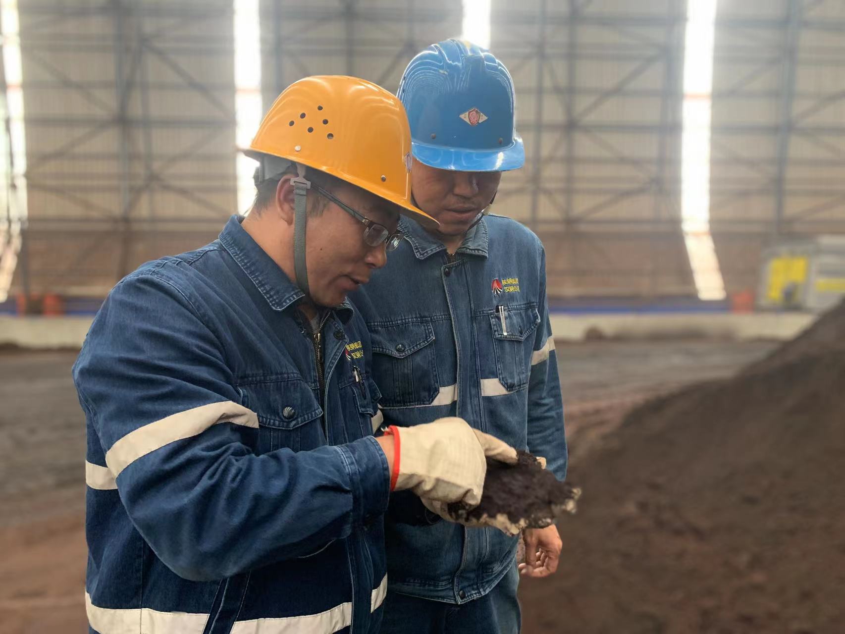 ��̎������Ч ����Ч�桰��P��