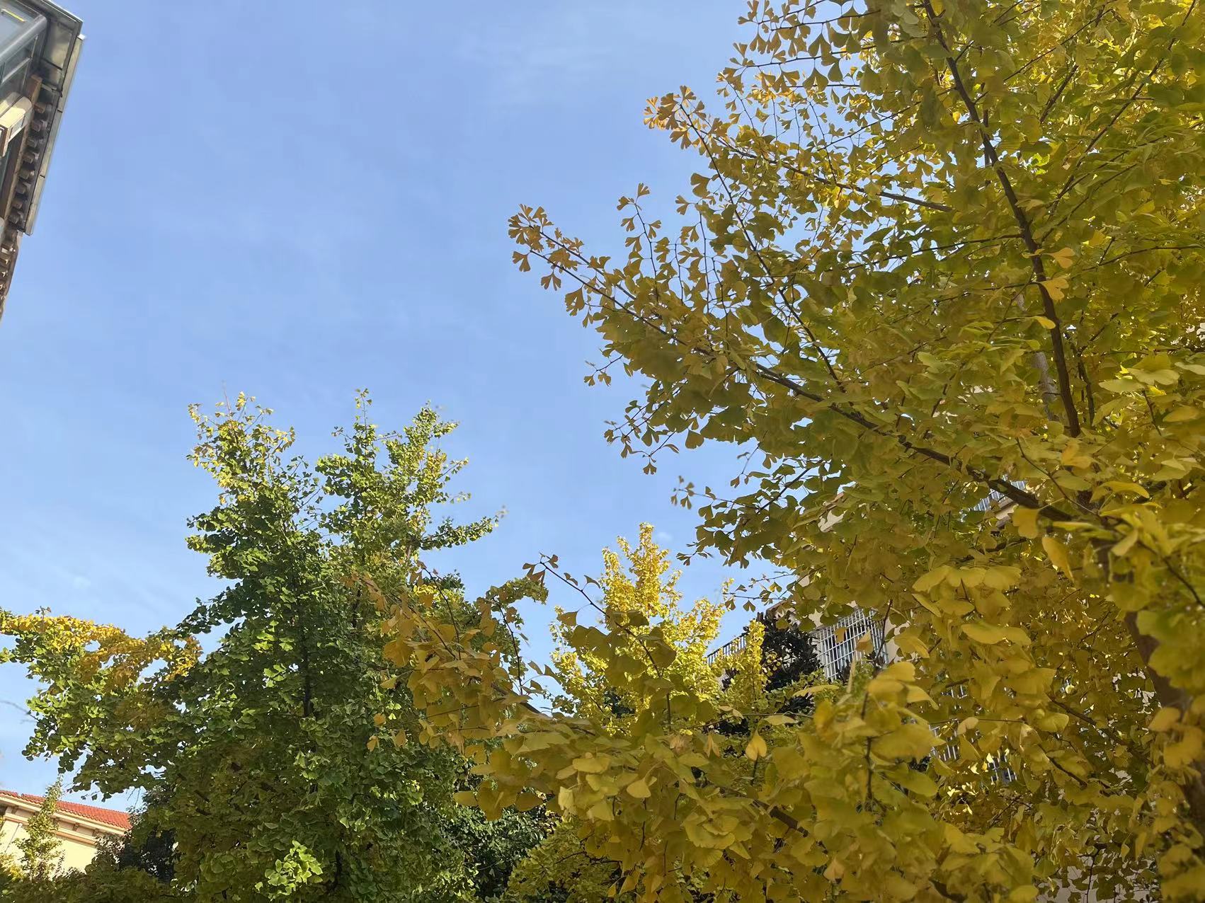 ������ů�y���S