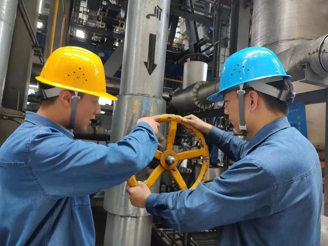 ץ�á������Գ֡���푽�����Ч�����Y̖��