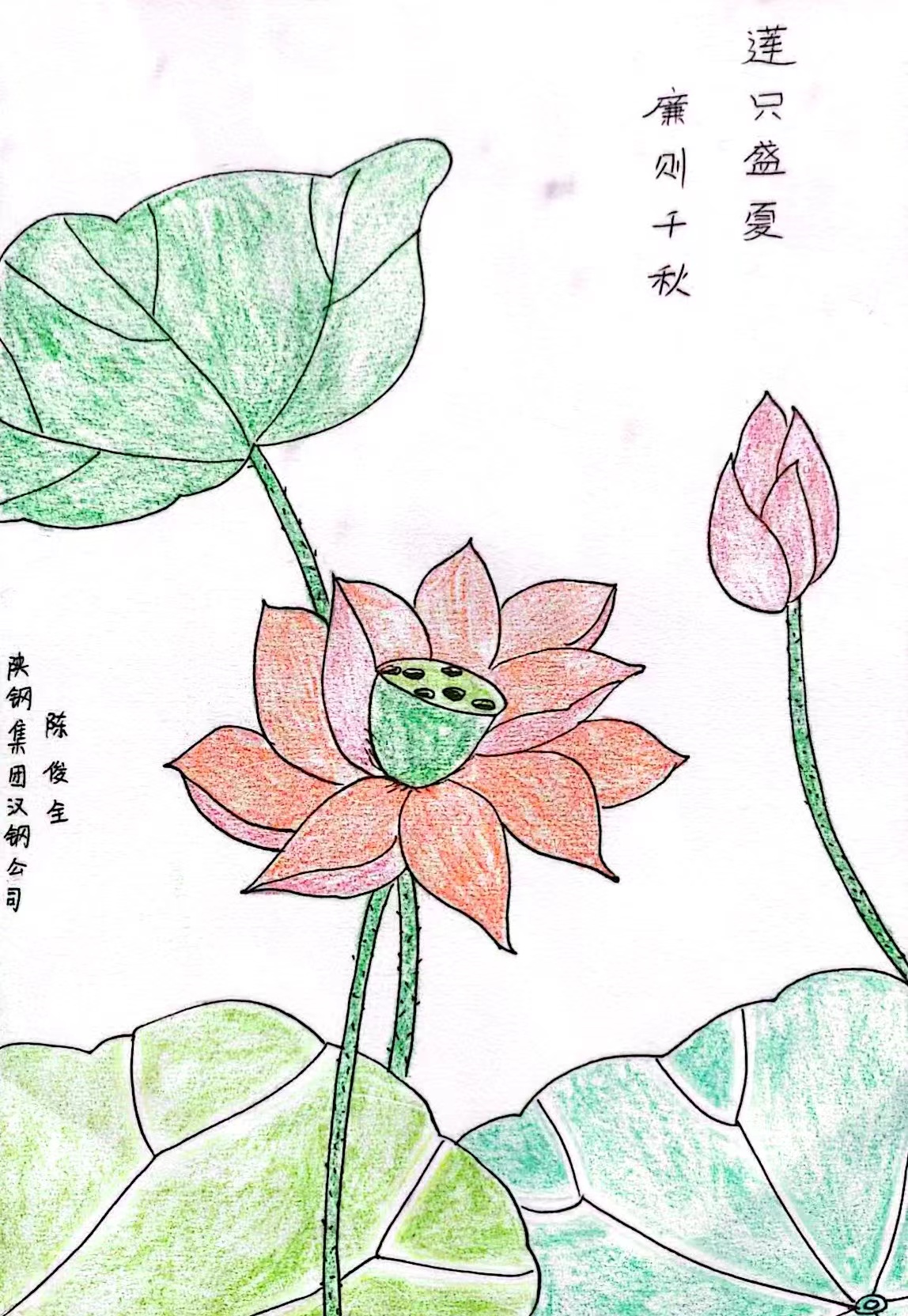 ������ɏ��������������