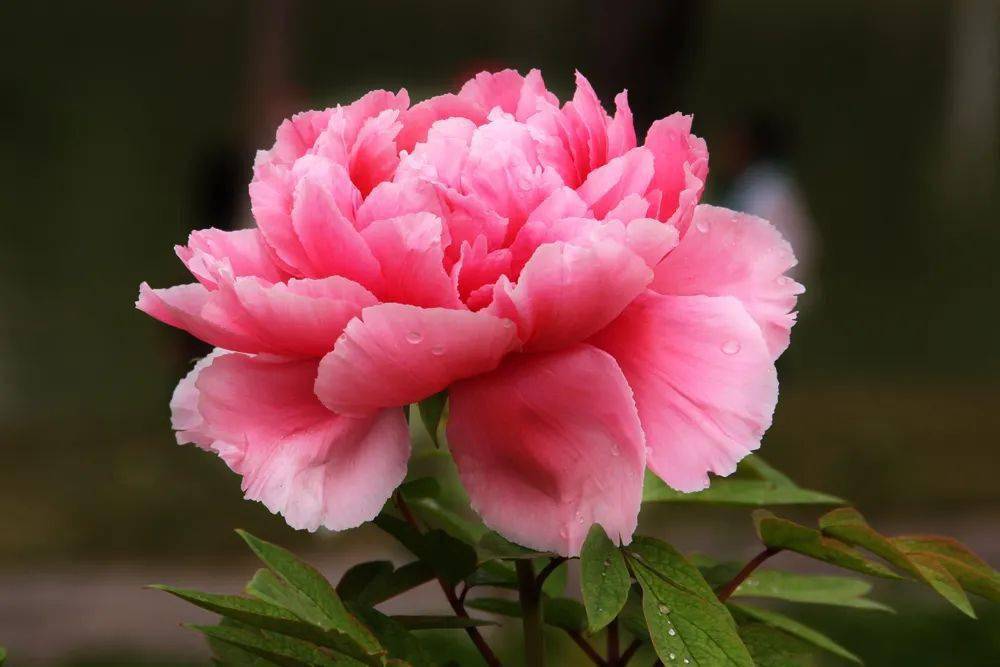 ĵ���L(f��ng)�A���A�Ǿ`��