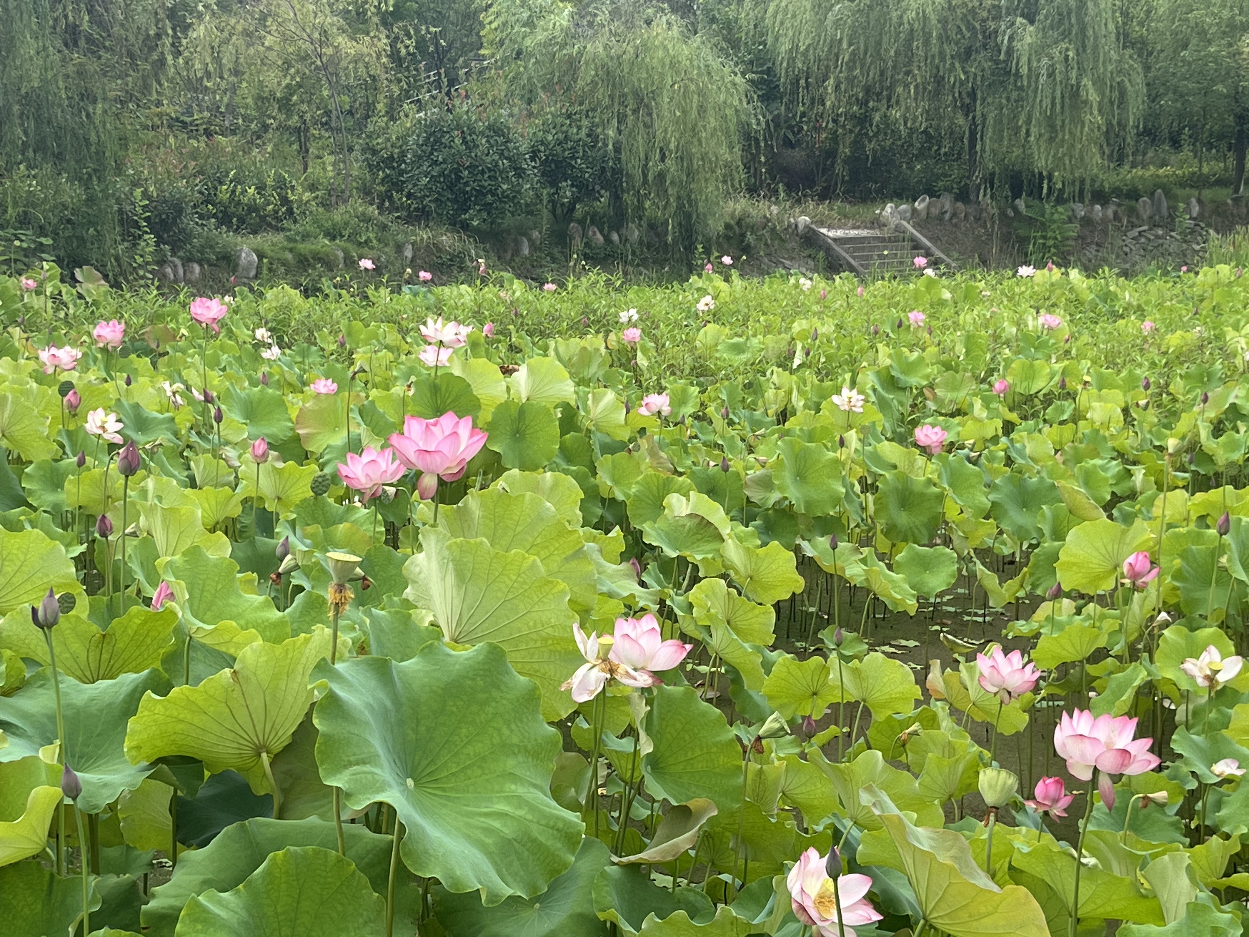 ��ɽ߅�ɝ��o��