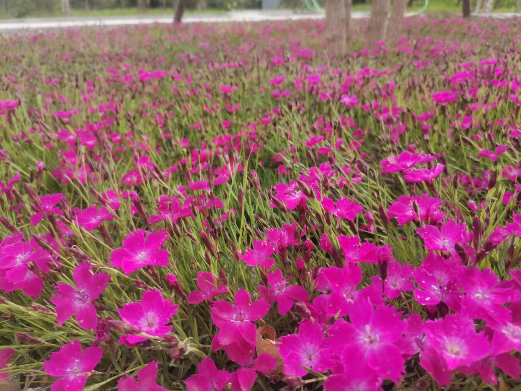 �����Ĵ�����