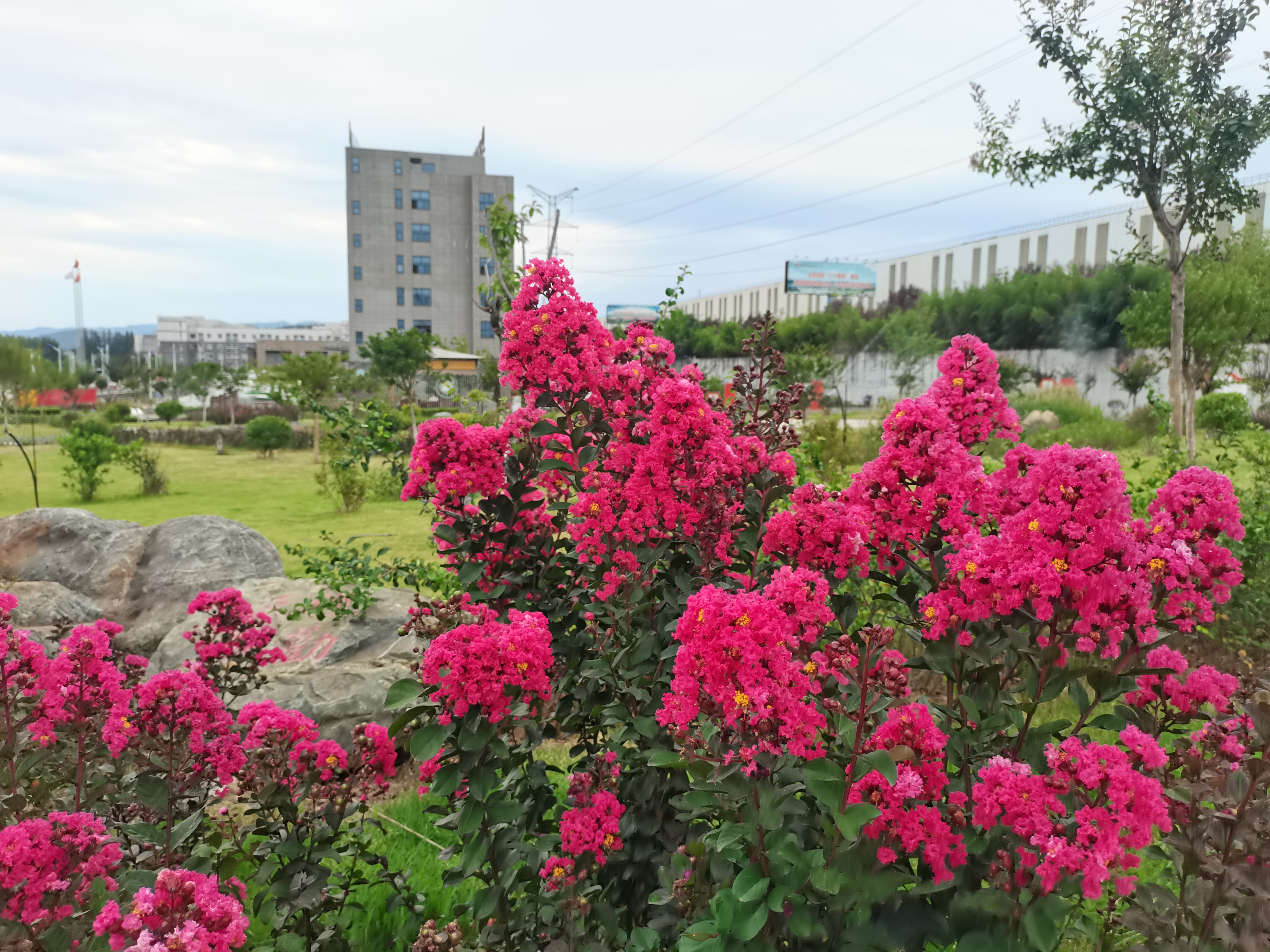 �����ޱ��Ĩ�t