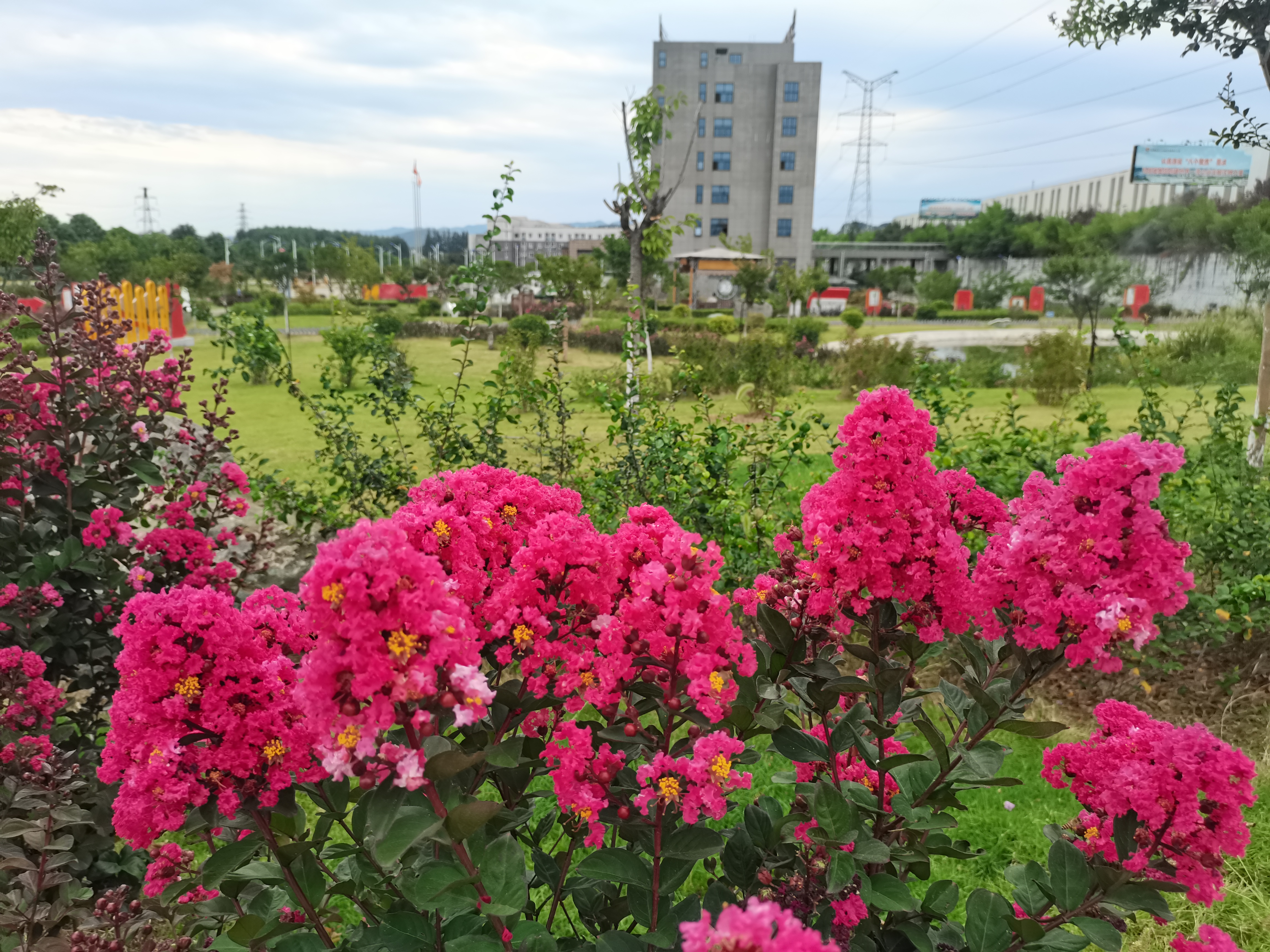 �����ޱ��Ĩ�t