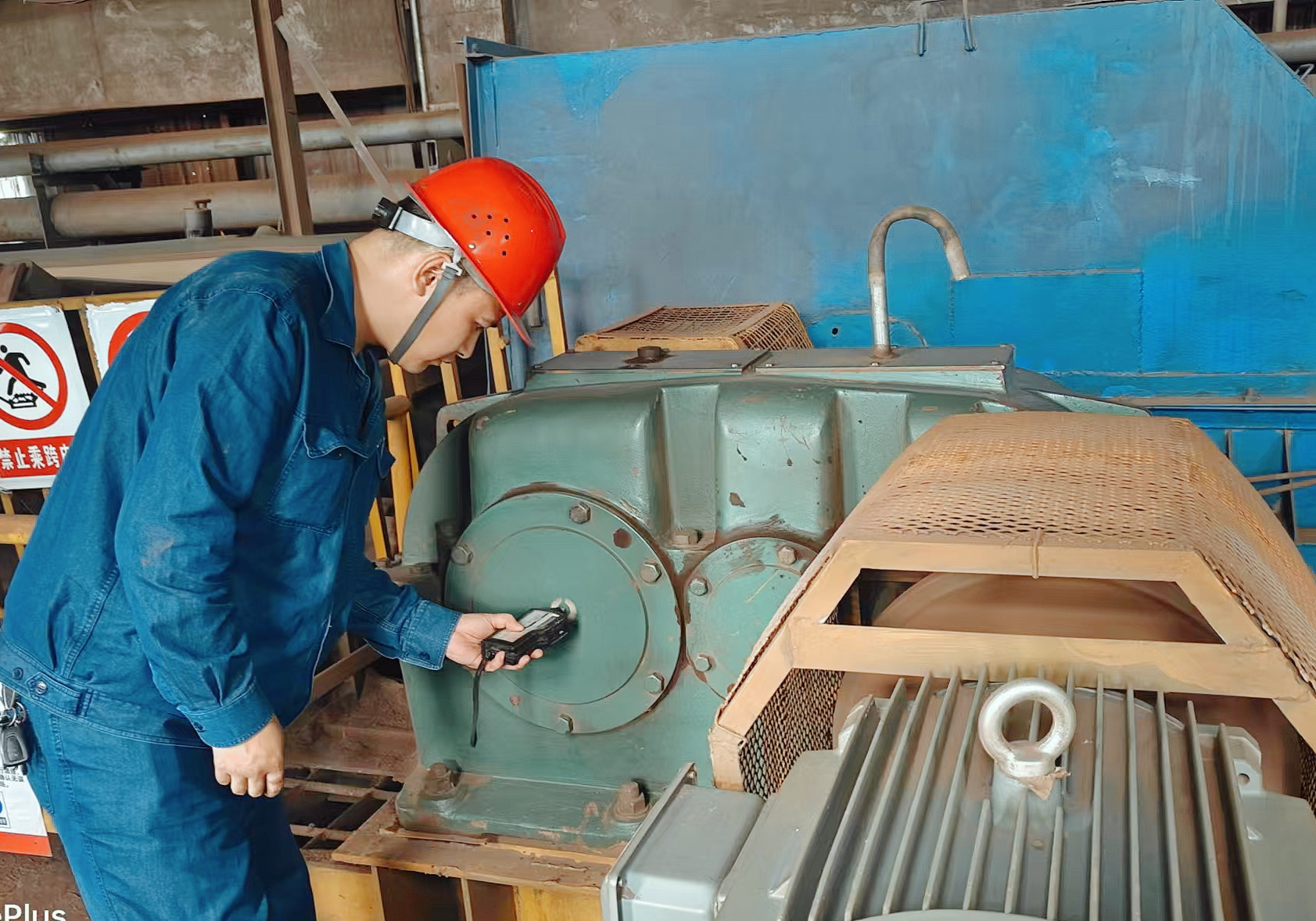 �衰�|���¡��|�L �Ƅ�Ʒ�|����������n