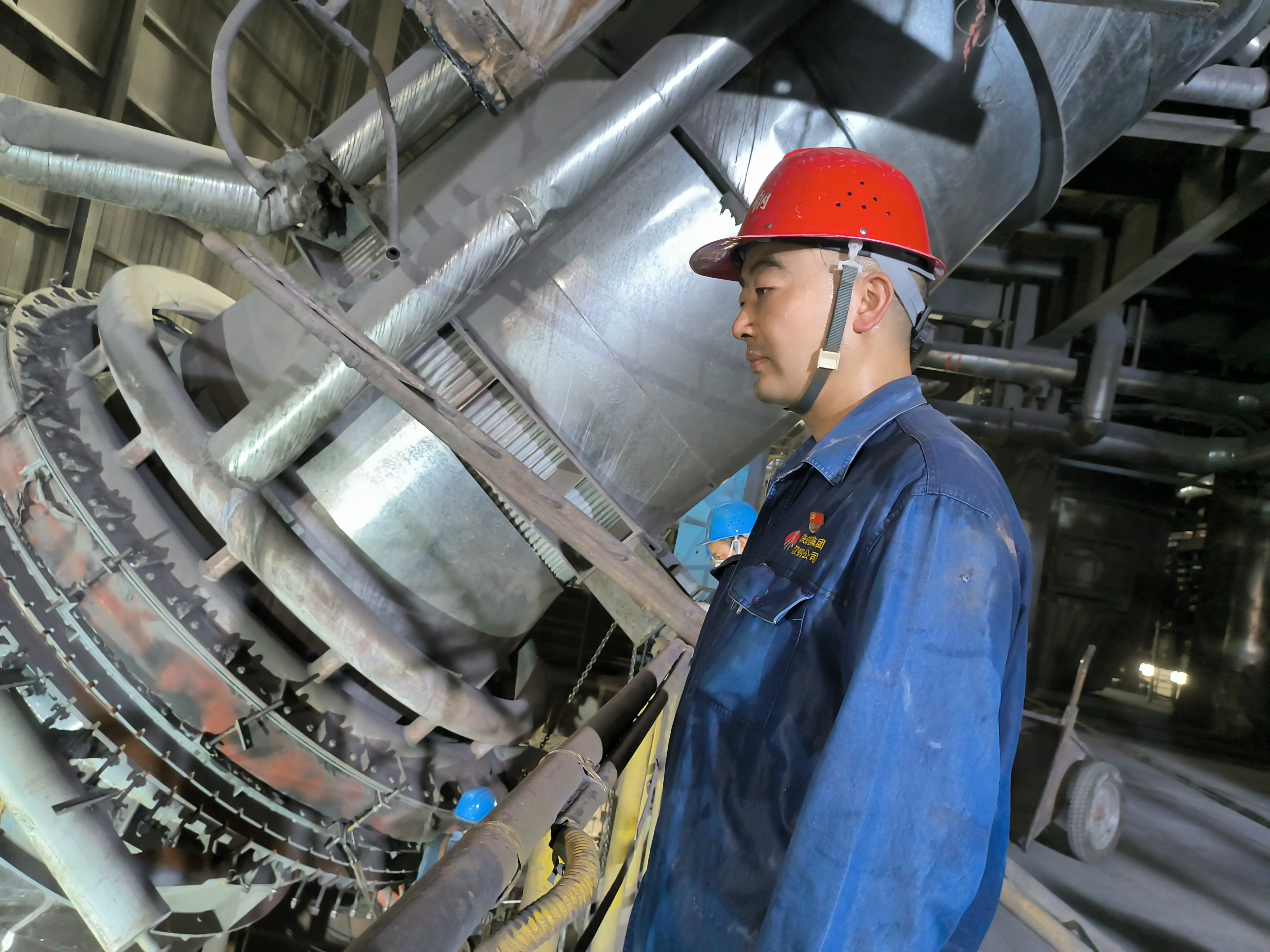 zޑ(zhn)(chng)ϵġo(h)ߡ