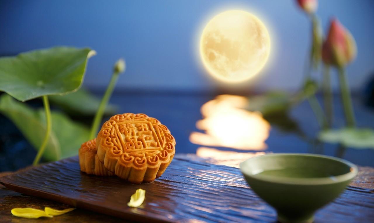 �M�����M���g