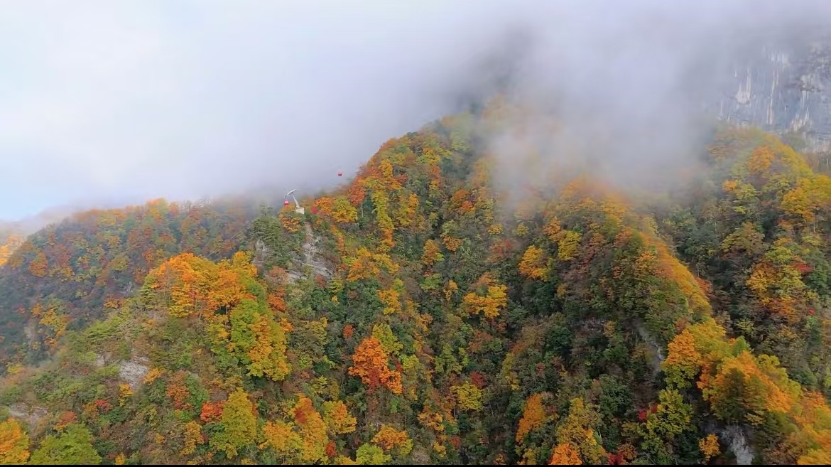 ���^ɽ��������