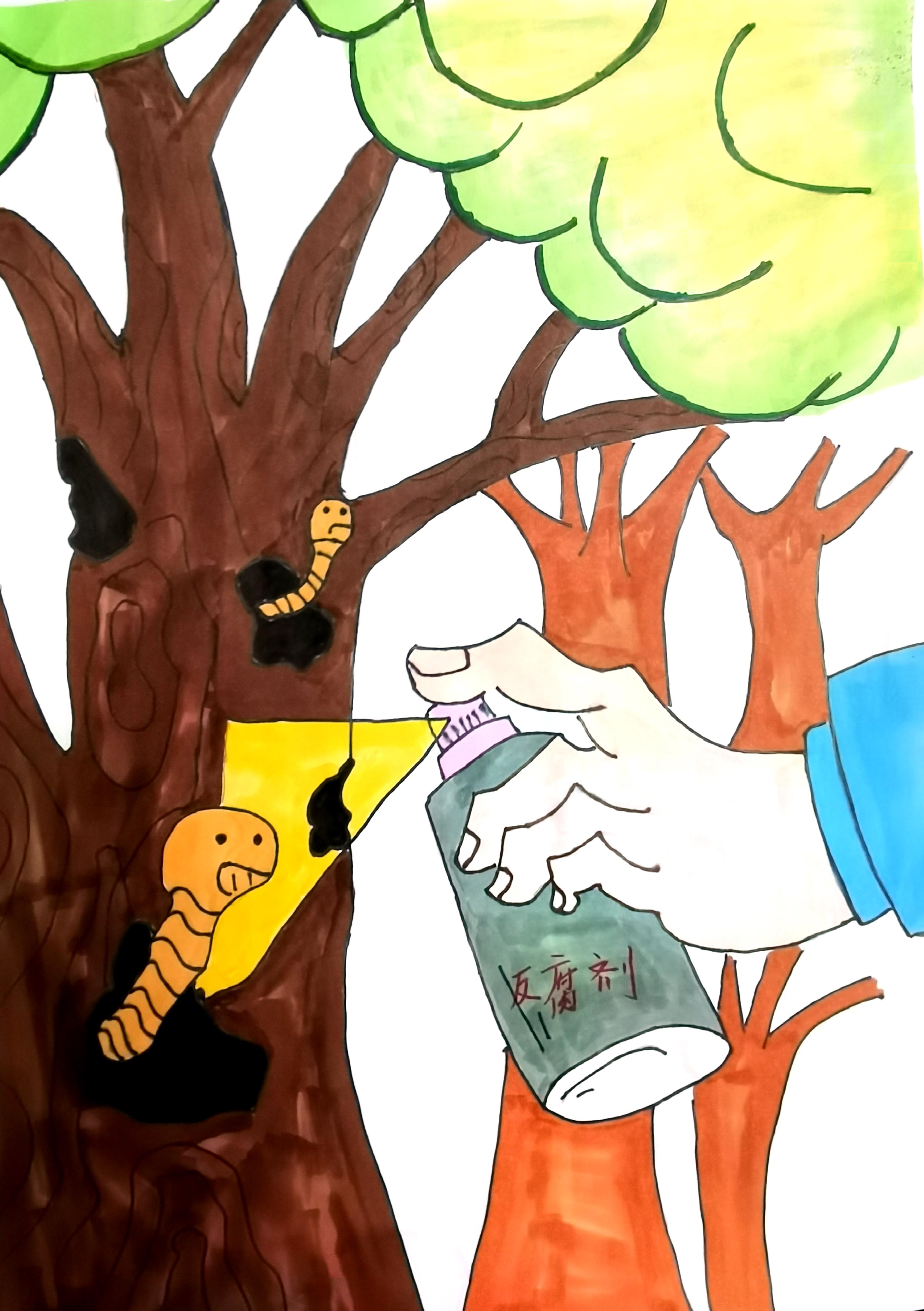 �����f�������L����