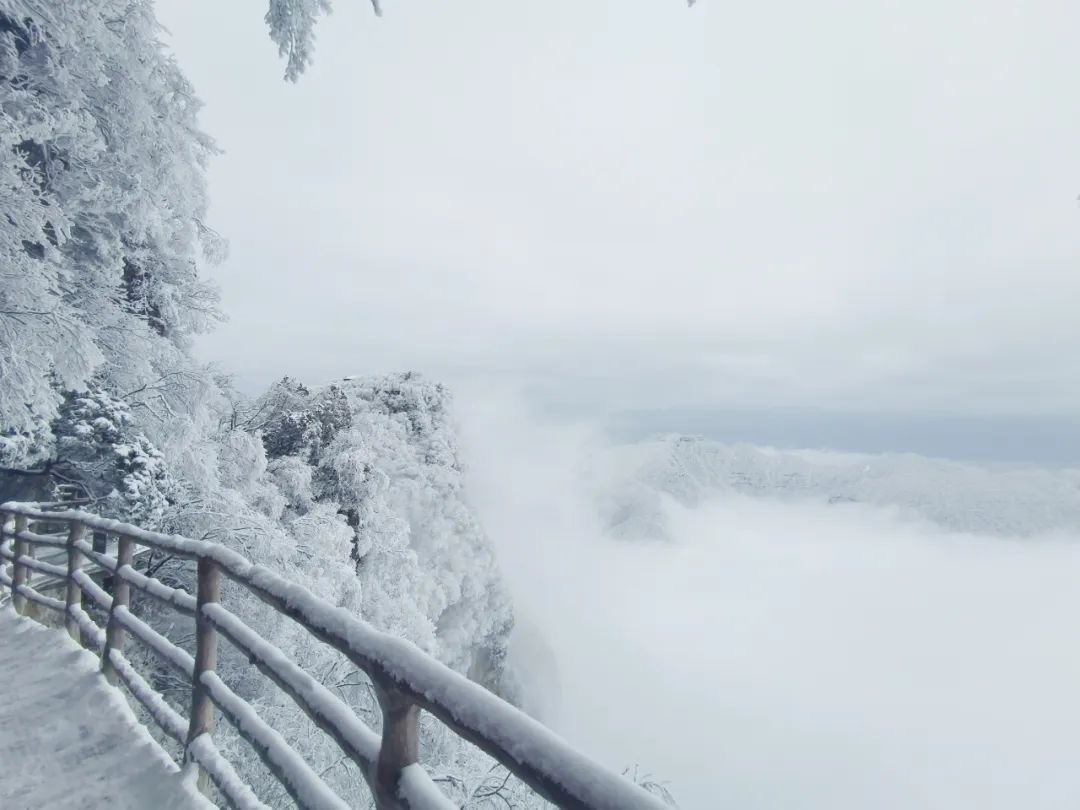 ����ֻ�Ƕ���