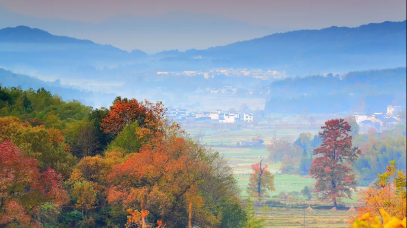 ���l(xi��ng)