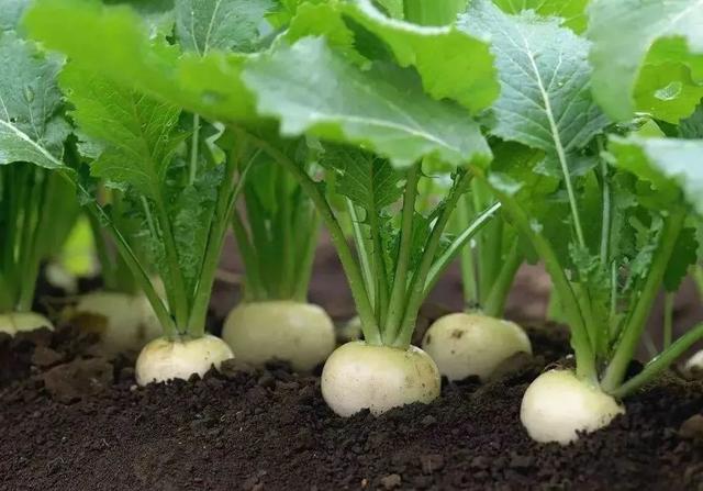 ������ݼ����˼