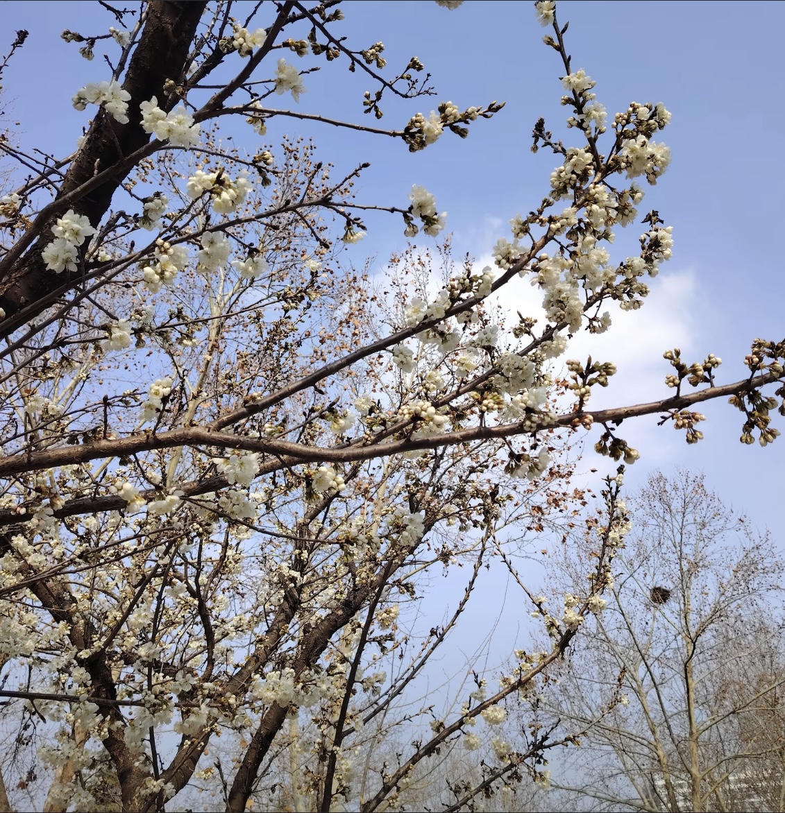 �ɱKʢ�M�����L