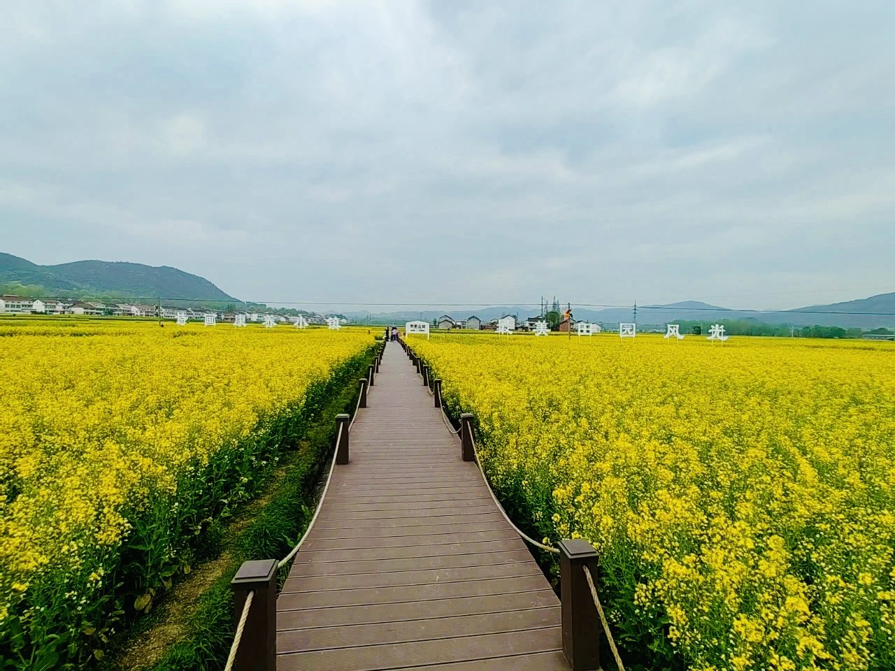 ��ɫ������Ĵ���