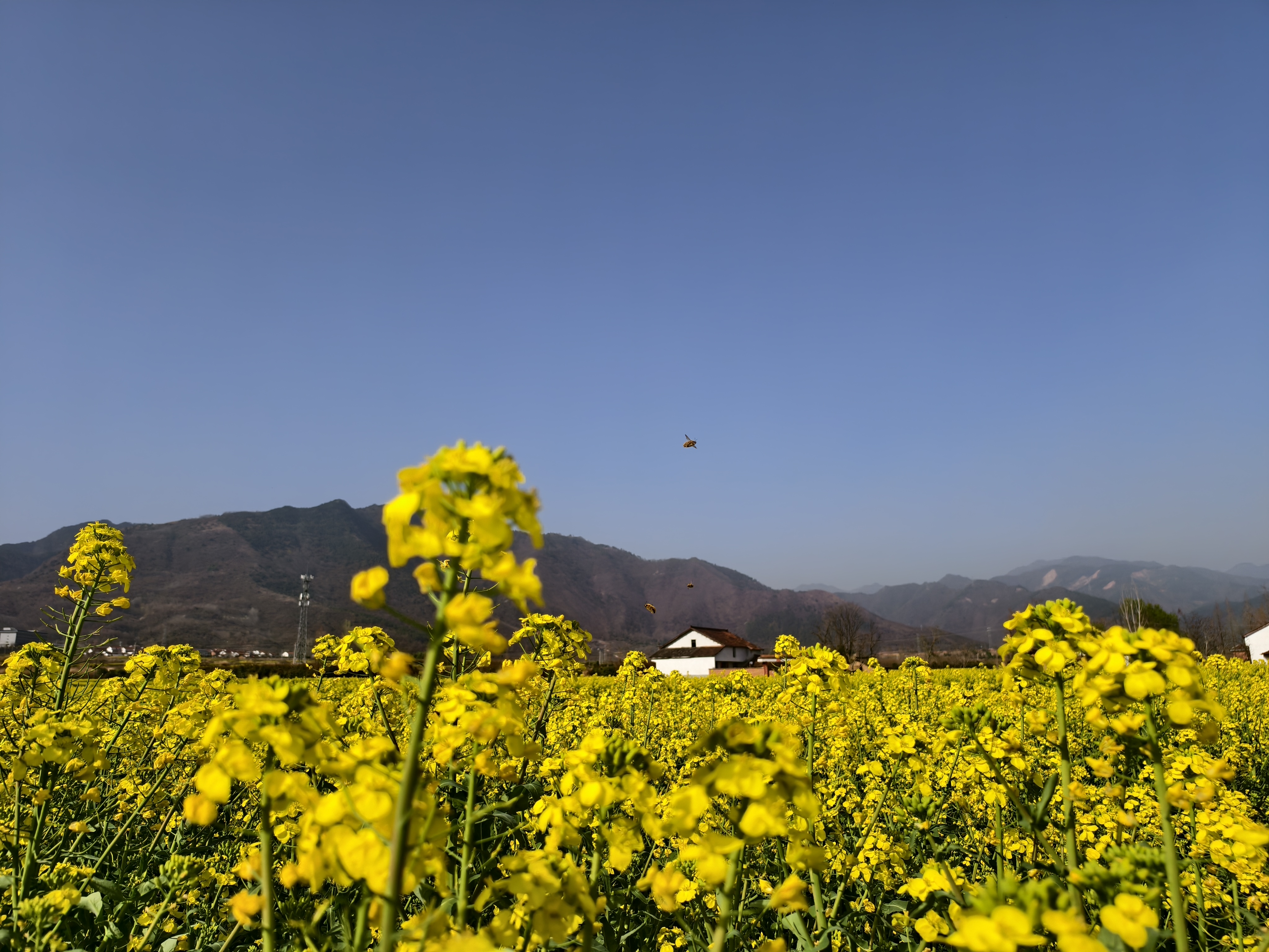 �����L��