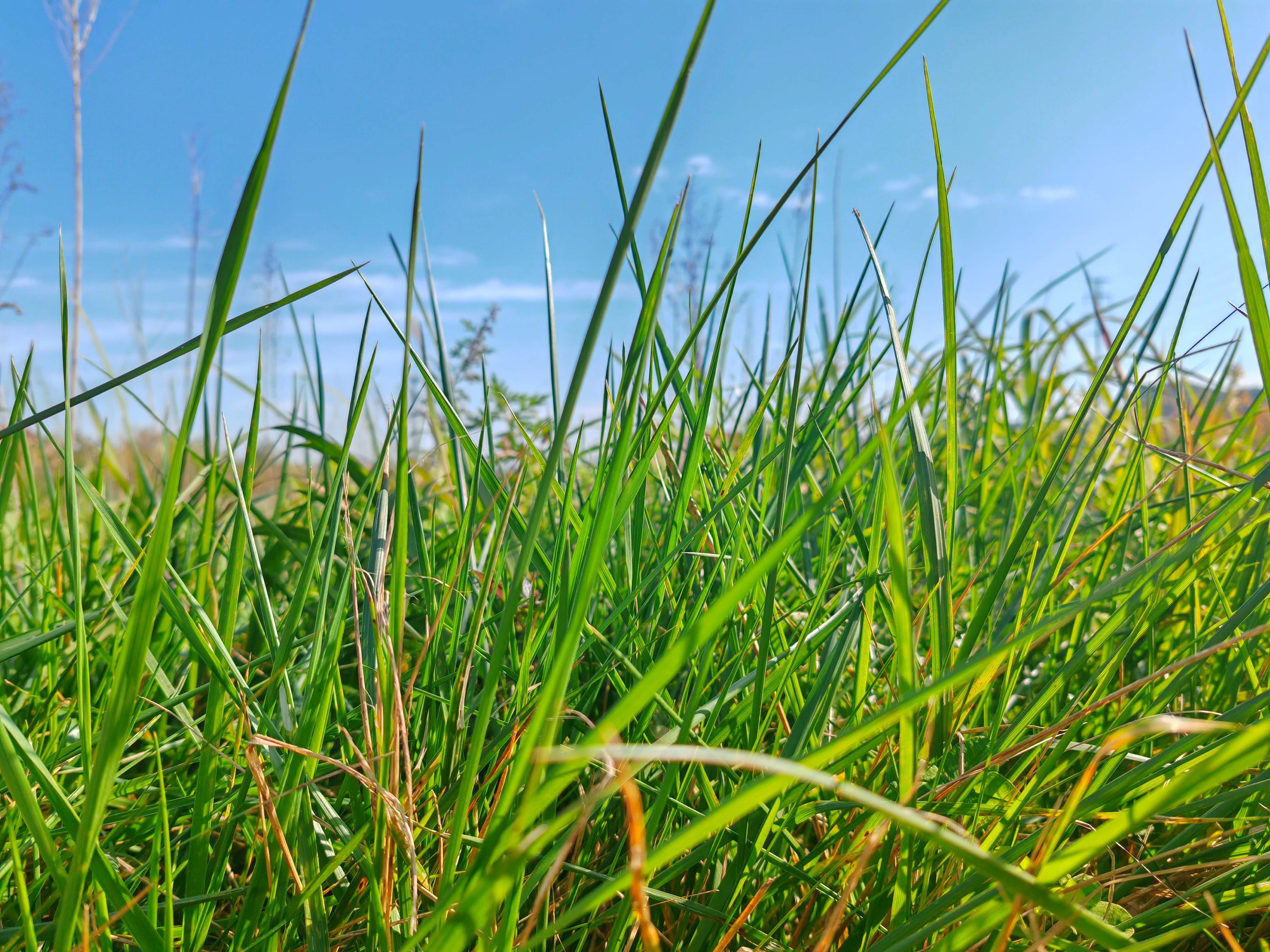 ��������ǡ�