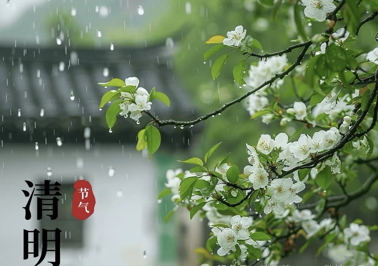 ������׷˼�c�����Ľ��