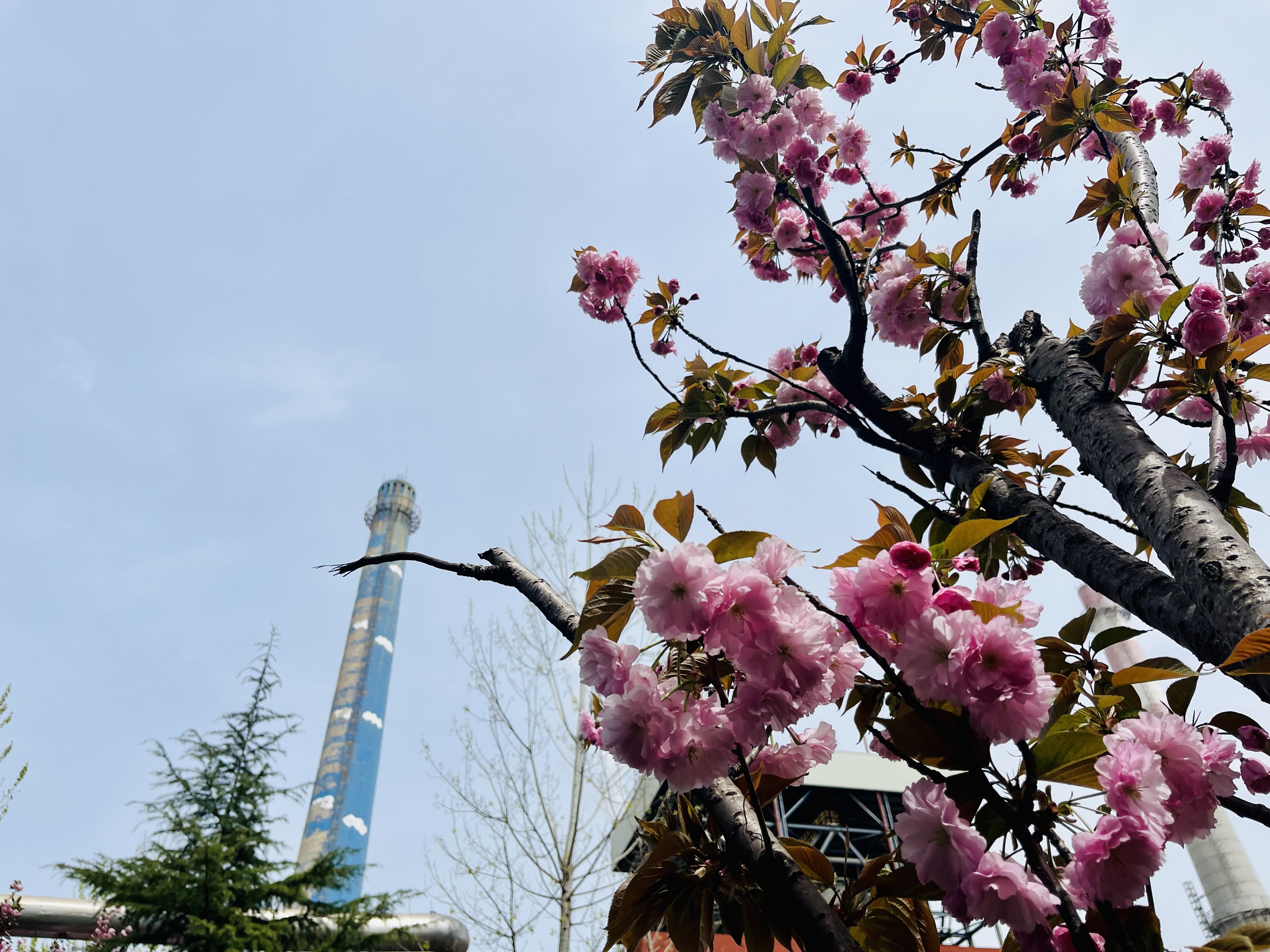 䓳Ǵ��Z(y��)