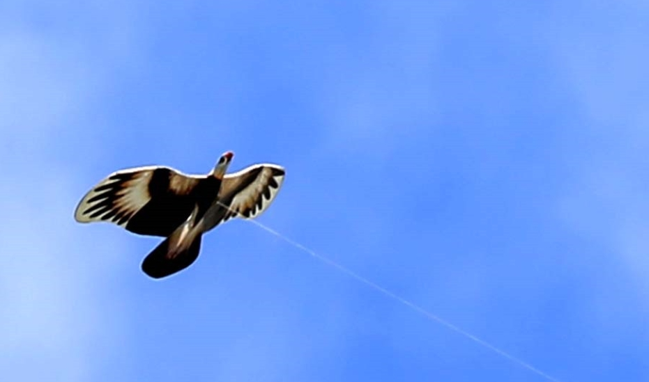 ӛ���еļ��S