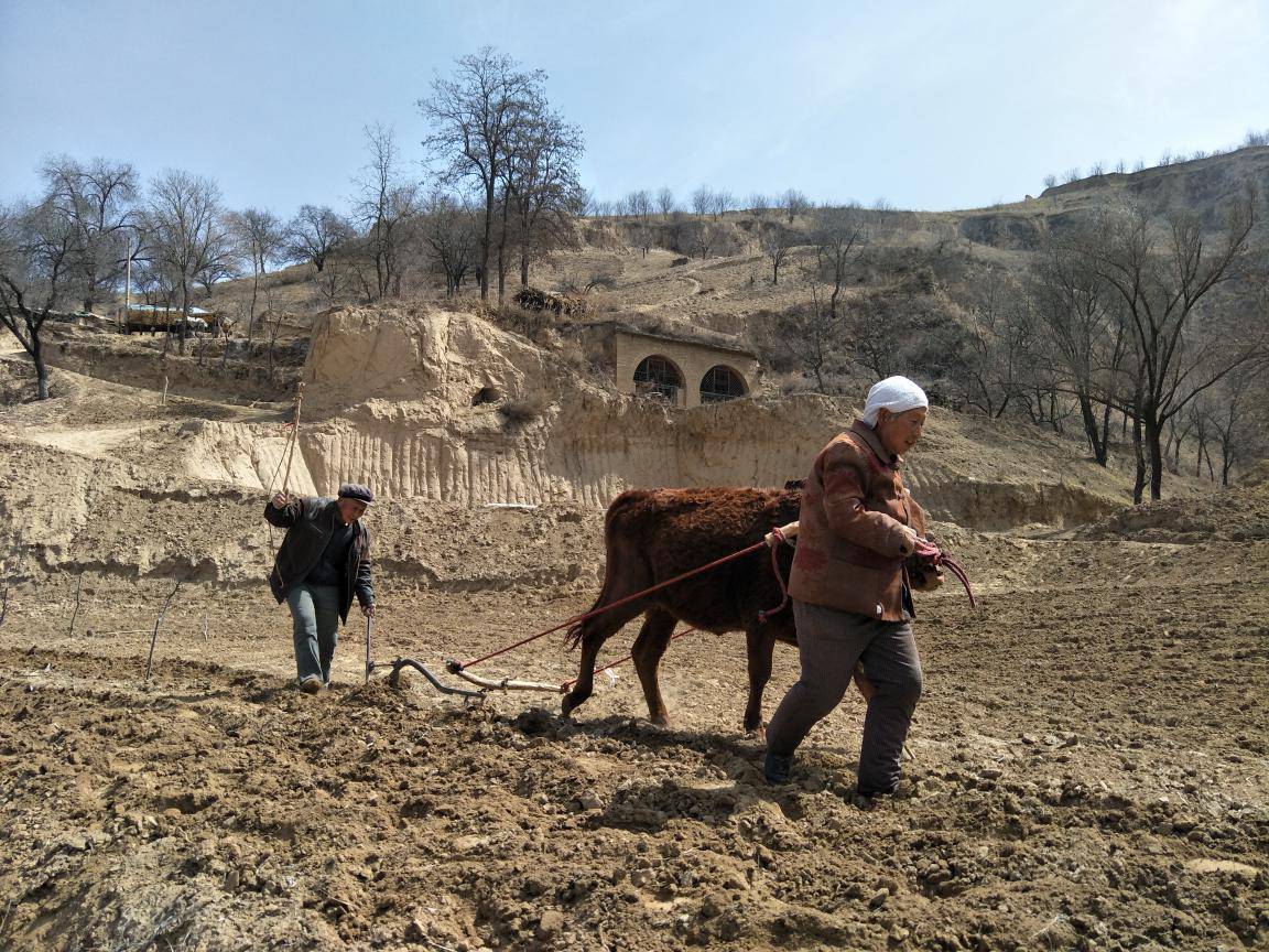 �c�֕�ꃱ��oԒ��