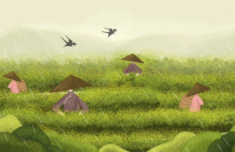 ����r���L���D