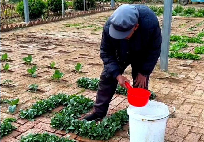 ���¼�Ӱ����ů���g