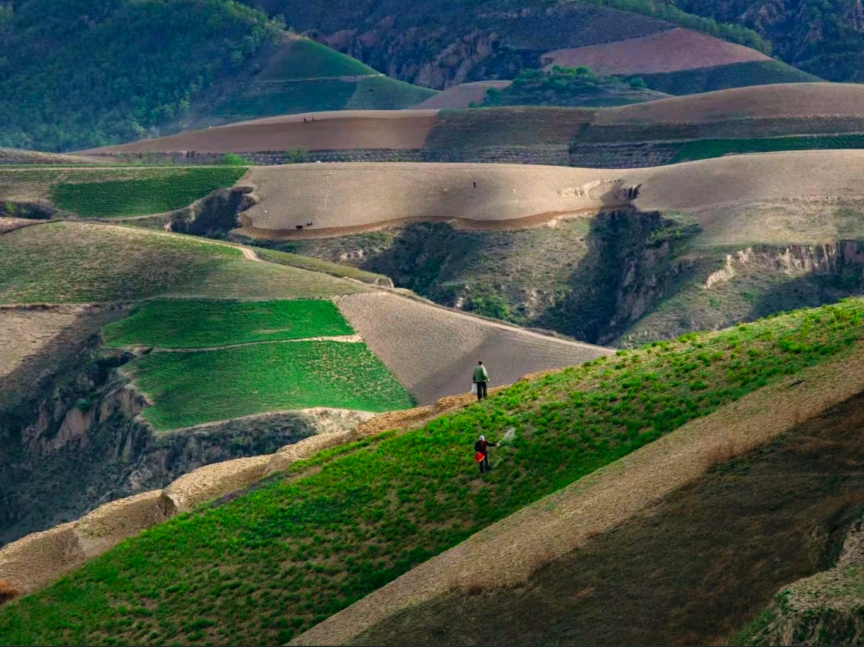 ꃱ��� �ڄ���