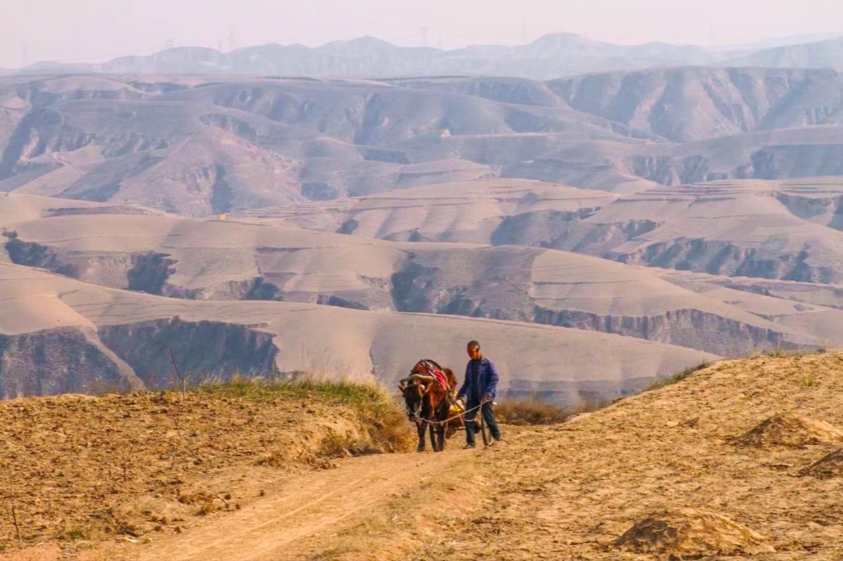 ꃱ��� �ڄ���