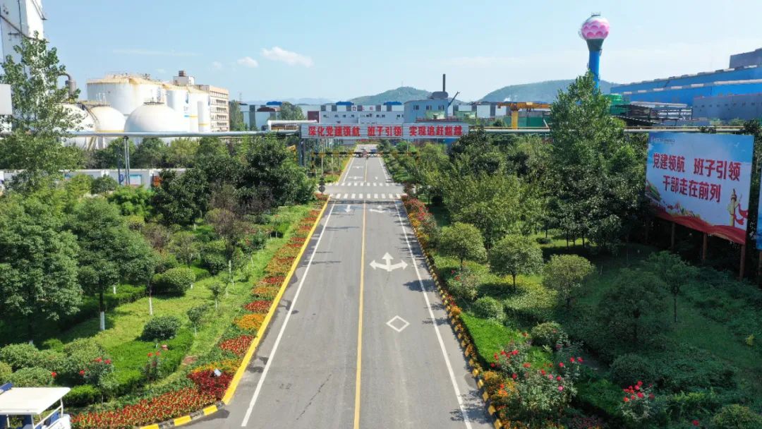 �@�Ǵ��᣿�@���Ǵ�