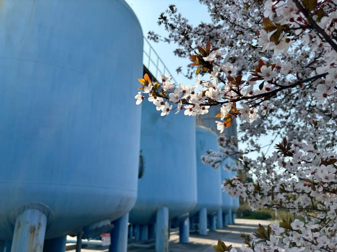 �@�Ǵ��᣿�@���Ǵ�