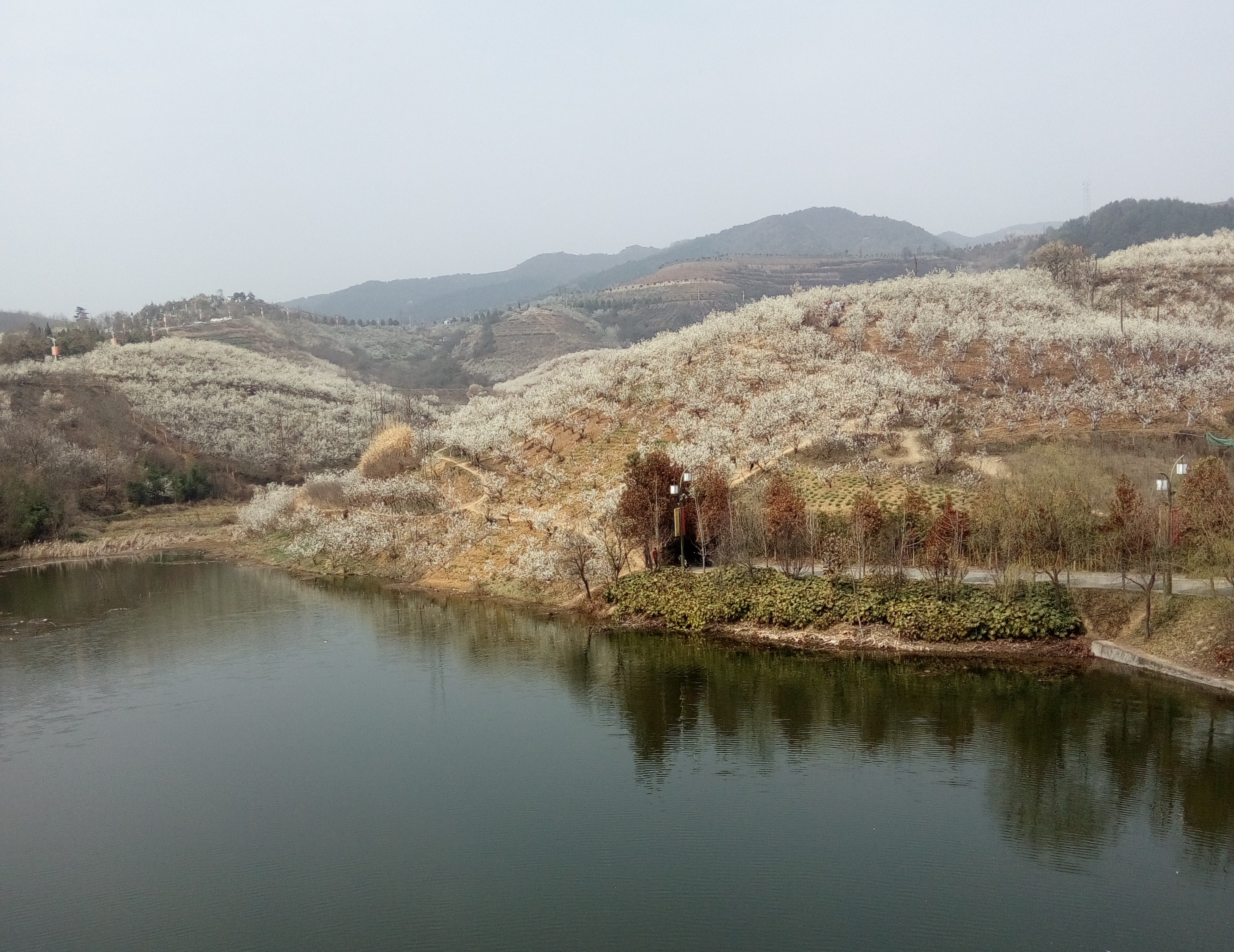 ���ҁ���