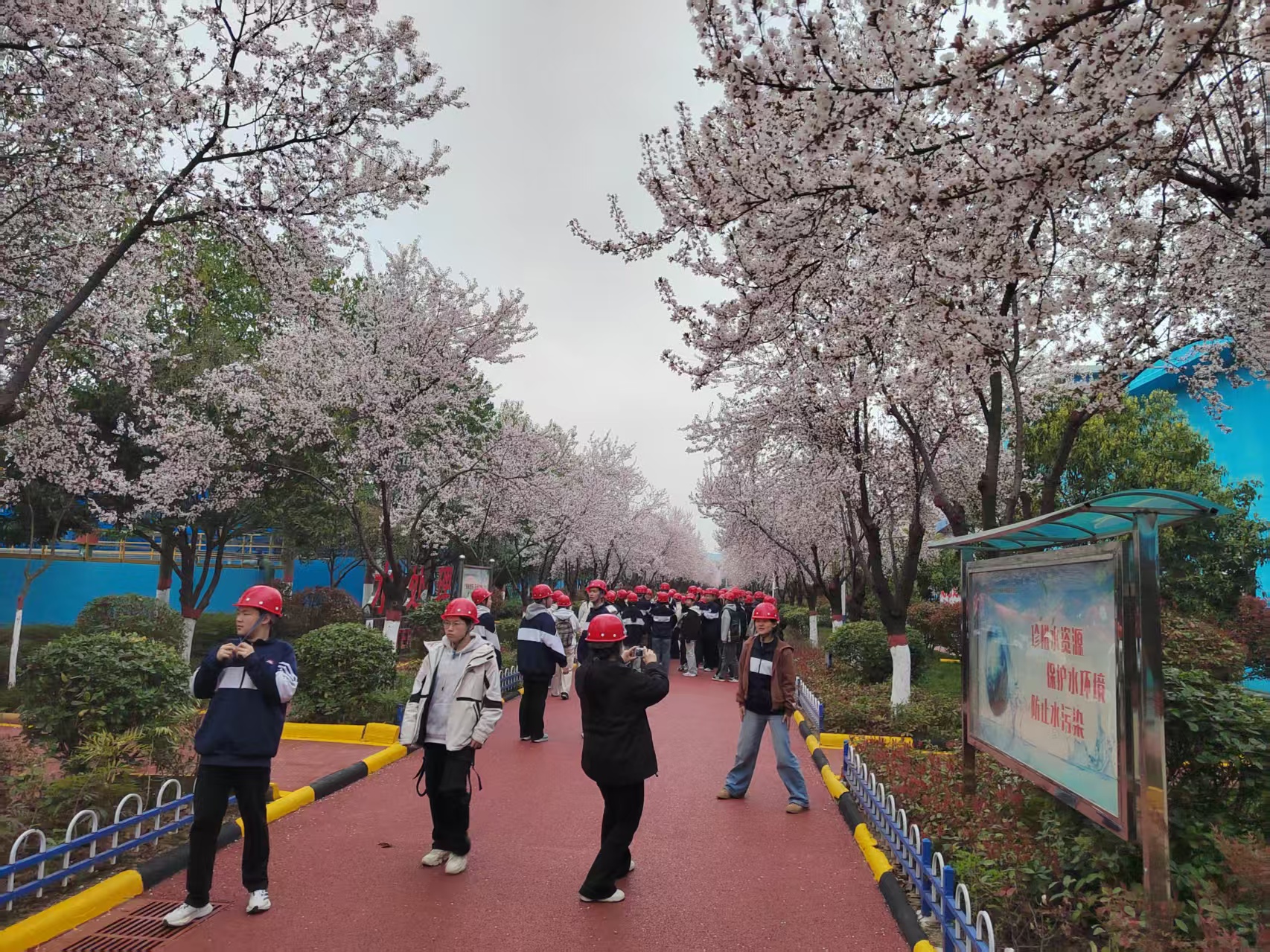 ���ЌW(xu��)�|�L(f��ng)���^��F֮�������䓼��F(tu��n)�h䓹�˾���ЌW(xu��)�ѳ�2000��