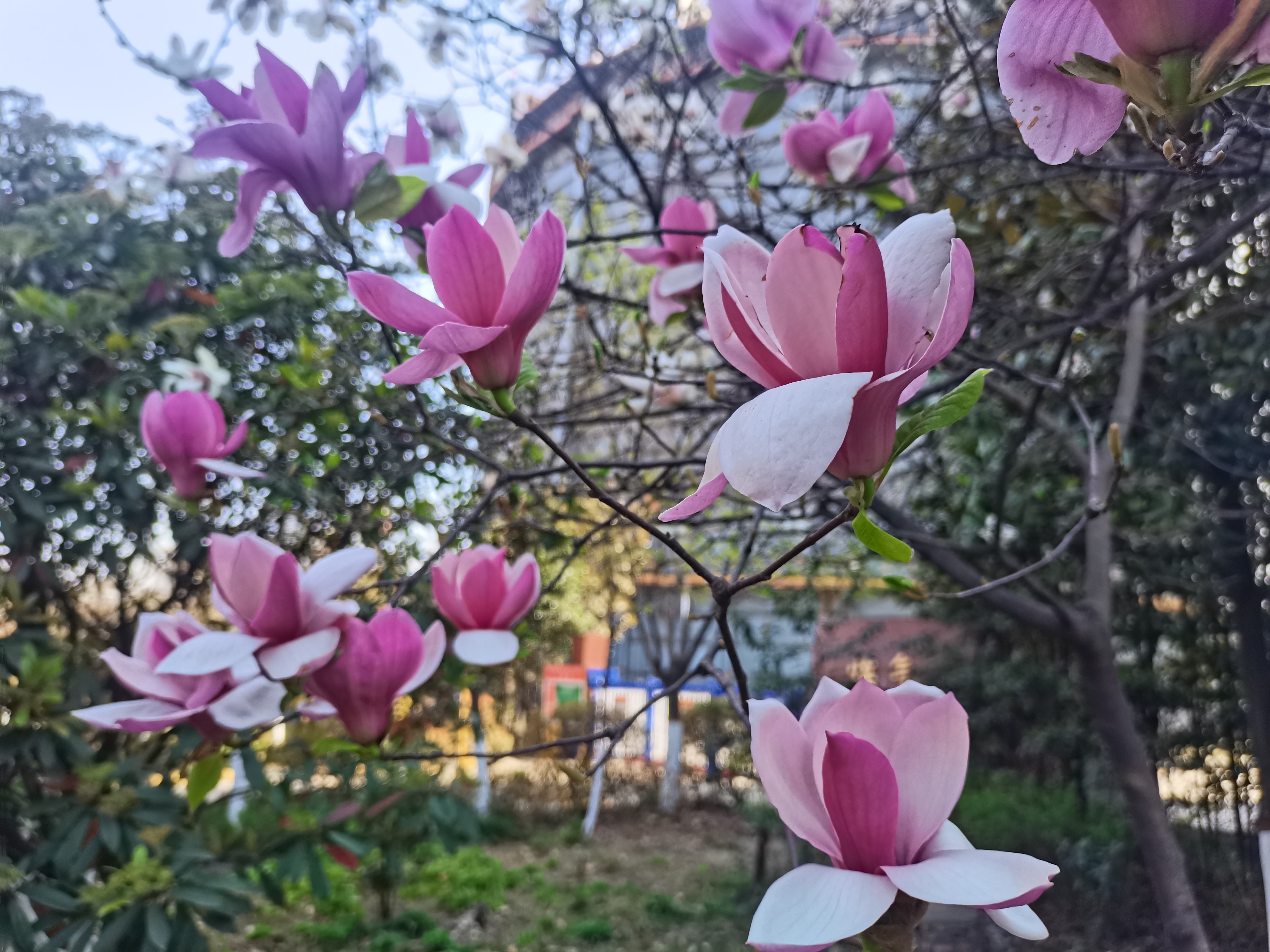 �f��ǧ�t���Ǵ�