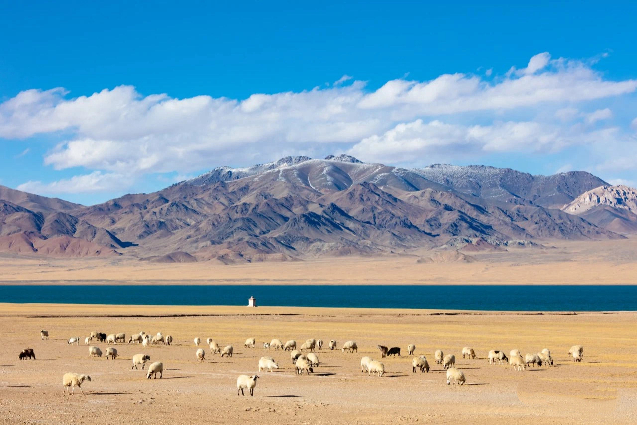 �����Ұ̎���Ěw���o�r