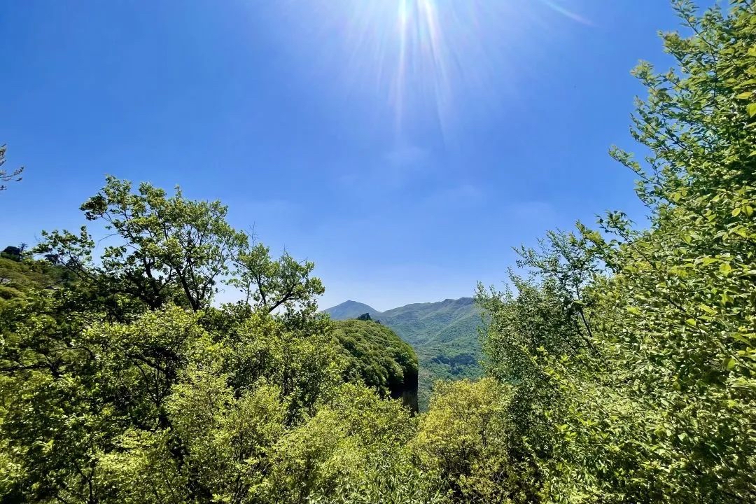 ����ӛ��