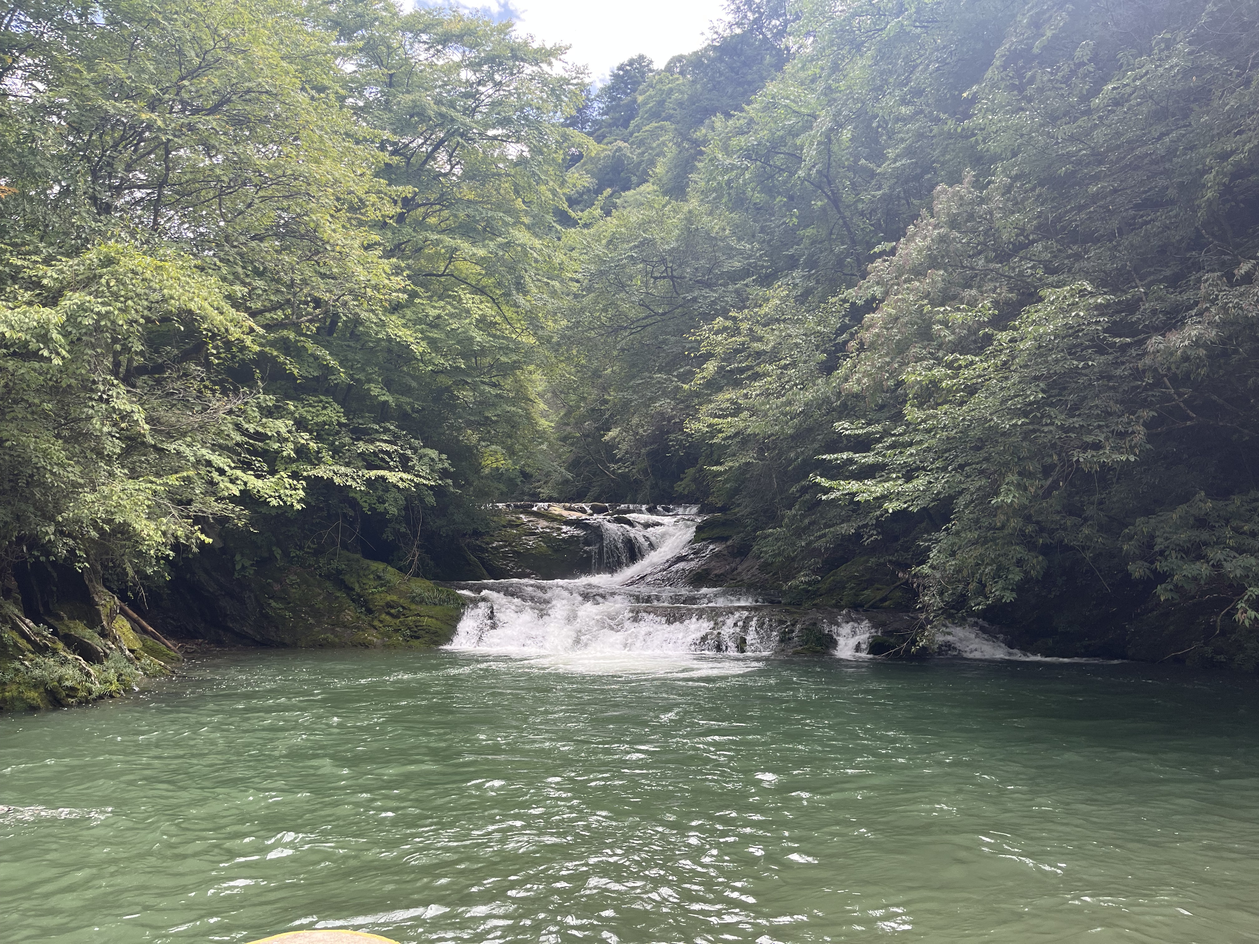 ��ƺ�t�m�{֮��