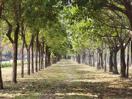 ���l(xi��ng)�ܵ��ϵ���݆