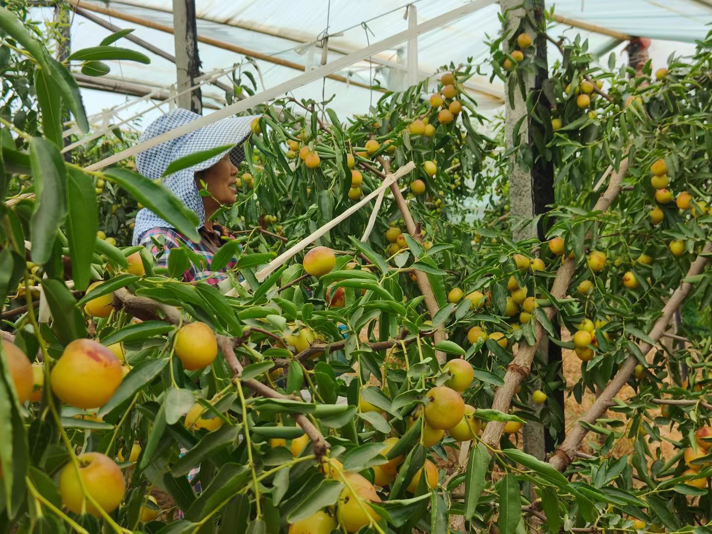 ���l����