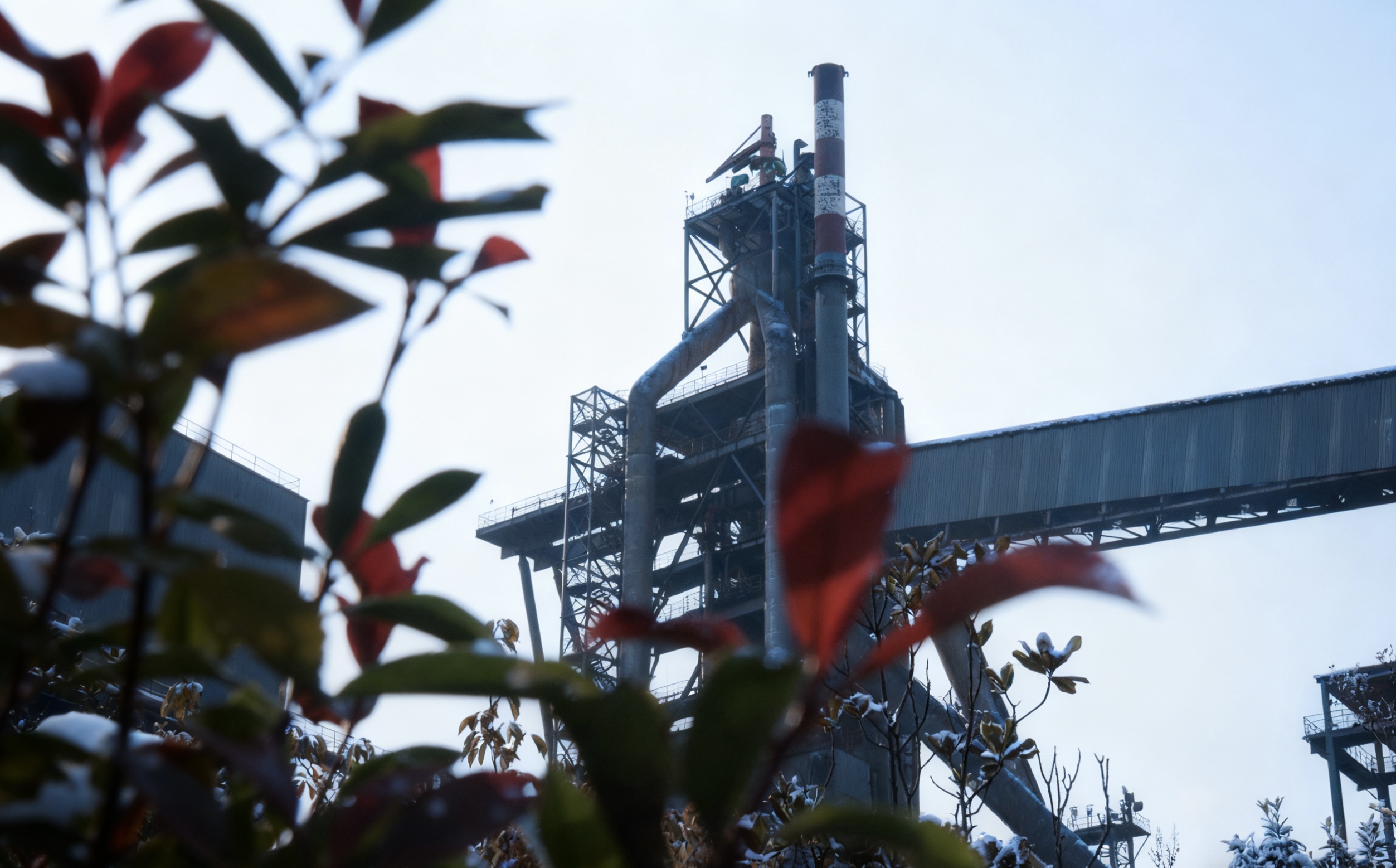 鋼城初冬的金韻