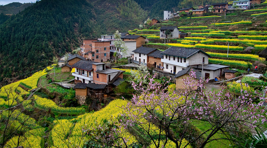 ��䓳���Է���Һ��ҵļ��l