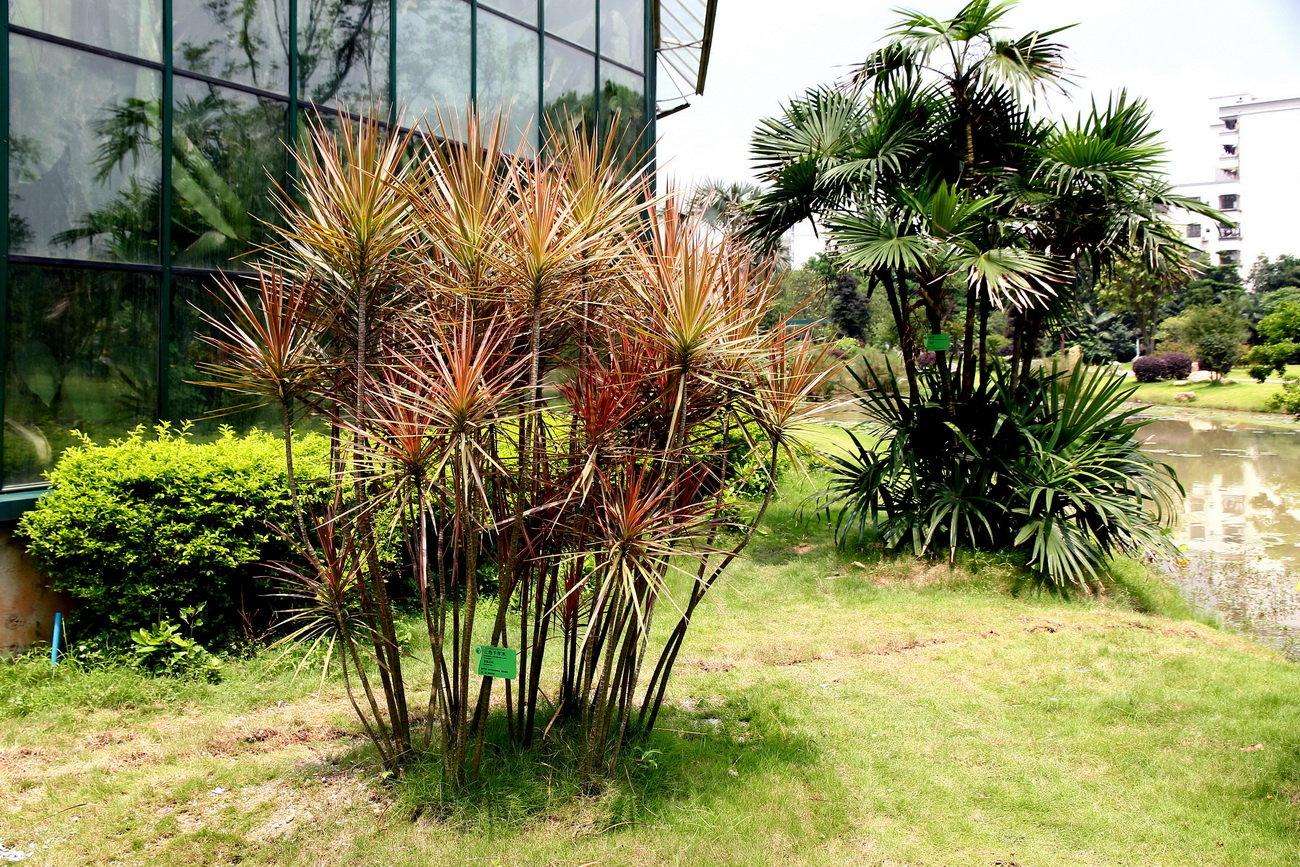 ��䓳���Է����ľǧ�꣬��Ҋ�A��