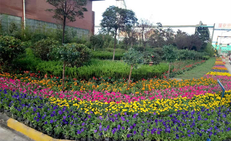 【美麗漢鋼】春暖花開季 護綠增綠正當(dāng)時 ——漢鋼公司打響春季綠化美化攻堅戰(zhàn) 【美麗漢鋼】春暖花開季 護綠增綠正當(dāng)時 ——漢鋼公司打響春季綠化美化攻堅戰(zhàn)