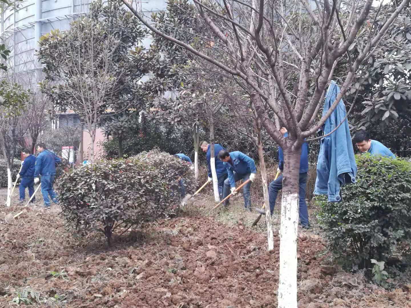 【美麗漢鋼】春暖花開季 護綠增綠正當(dāng)時 ——漢鋼公司打響春季綠化美化攻堅戰(zhàn) 【美麗漢鋼】春暖花開季 護綠增綠正當(dāng)時 ——漢鋼公司打響春季綠化美化攻堅戰(zhàn)