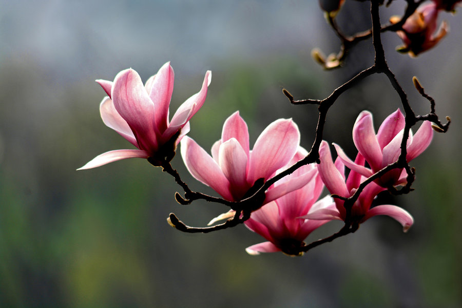 ��䓳���Է�����m���_������